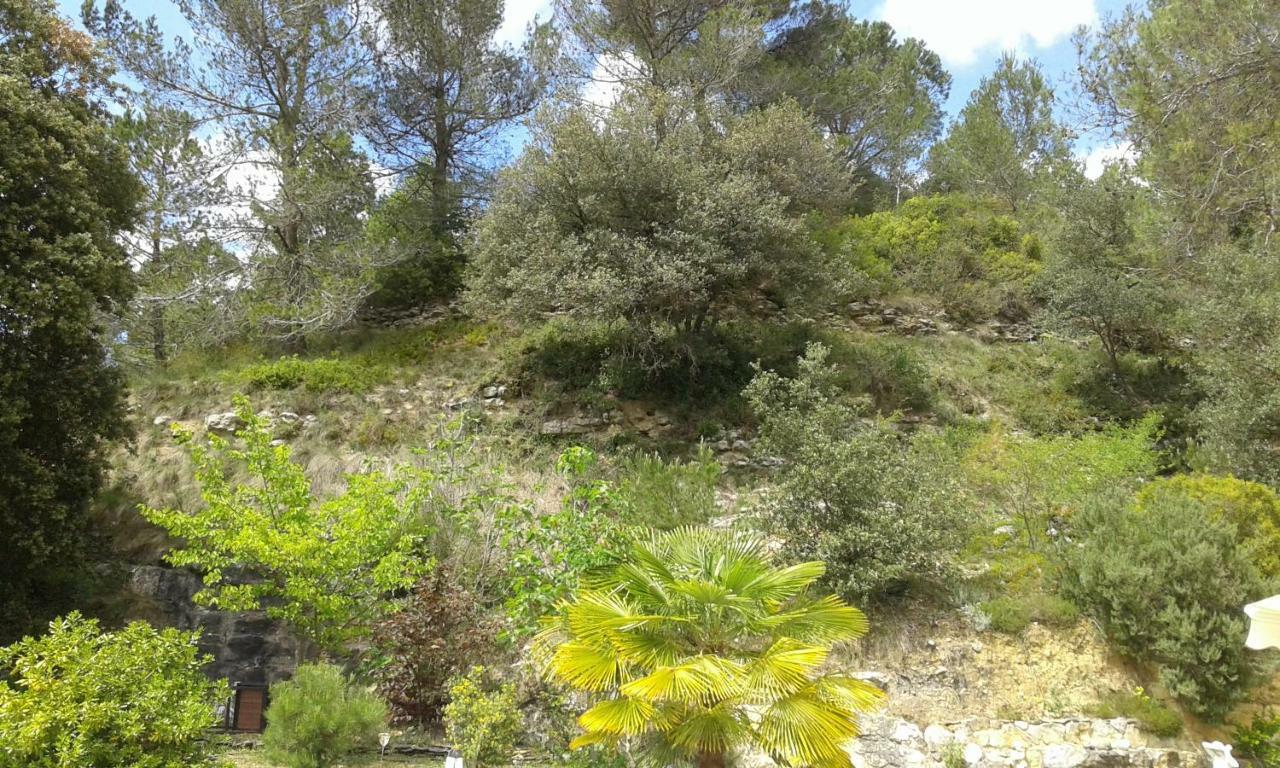 Gite Sud De France-Carcassonne Chez Lea Aragon Ngoại thất bức ảnh
